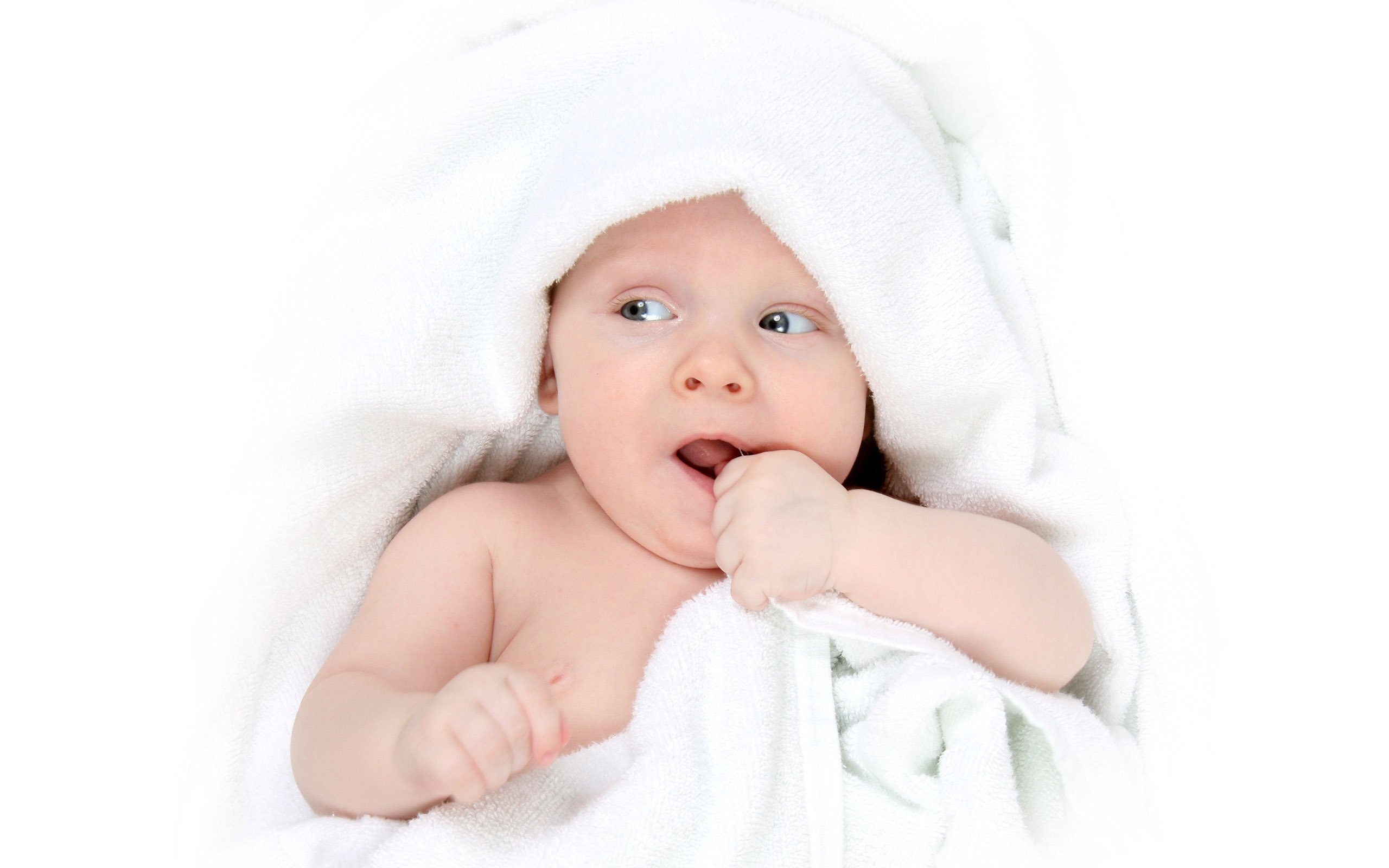 正规捐卵机构卵泡发育慢怎么做试管婴儿